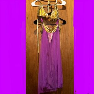 Dreamgirl 2Pc Belly Dancer Costume / Lingerie
